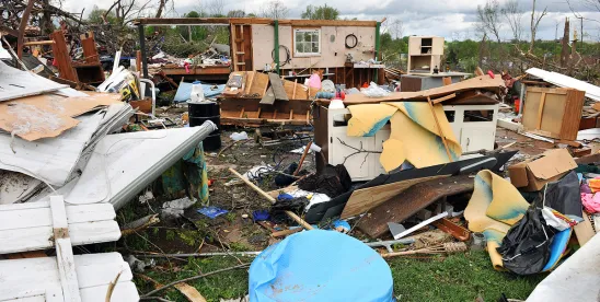 Disaster response resources for business organizations