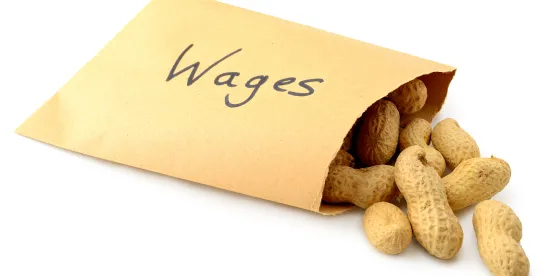 Arizona Court Strikes Down Local Prevailing Wage Ordinances in Phoenix and Tucson