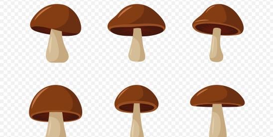 New Jersey moves to legalize therapeutic psilocybin