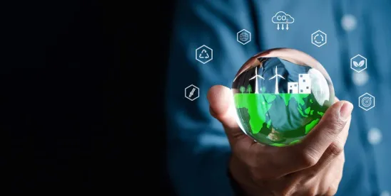 EU Releases New Corporate Sustainability Due Diligence Directive