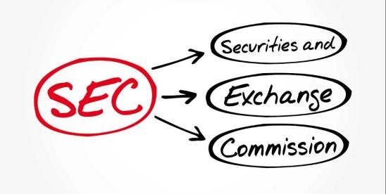 Securities and Exchange Commission Self Reporting