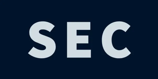 SEC S-P Requirements