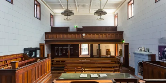 Oral Arguments Appellate Practitioners Insights