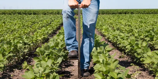 Farm Bill compromise negotiations in Congress