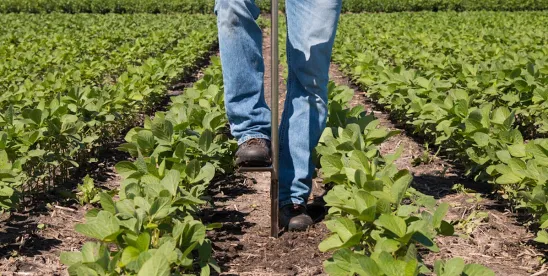 American Immigration Council report on agriculture workers