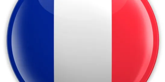 French Decree no. 2024-388