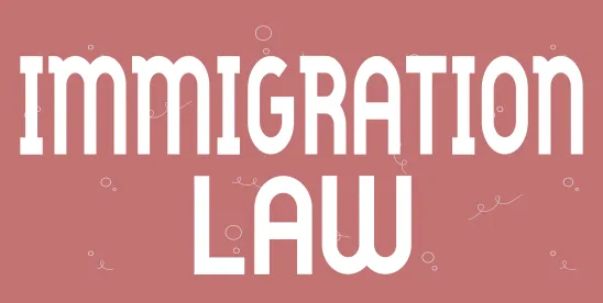 U.S. Southern Border Immigration 