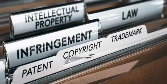 Copyright infringement, commercial reelection campaign meme use