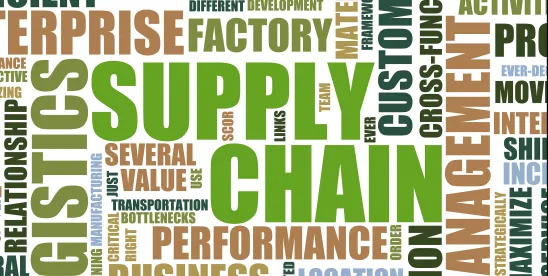 Promoting Resilient Supply Chains