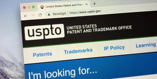 USPTO Terminal Disclaimers issue