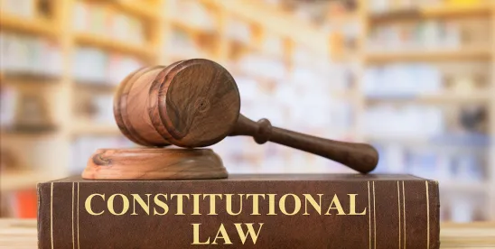 Constitutional Standing of Patent Owners Seen in Federal Circuit