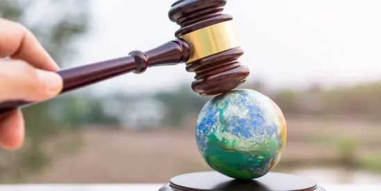 Recent Environmental Protection Agency federal developments