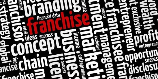 Franchise Relationships and Franchise Disclosure Requirements