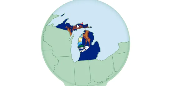 Michigan Unitary Businesses