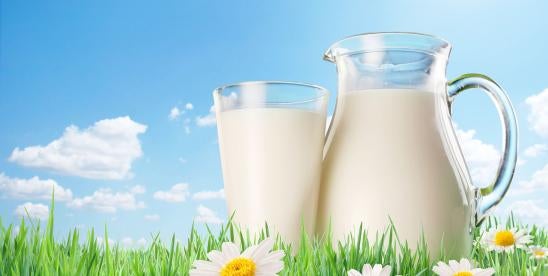 Chobani FDA Petition Yogurt Standard of Identity