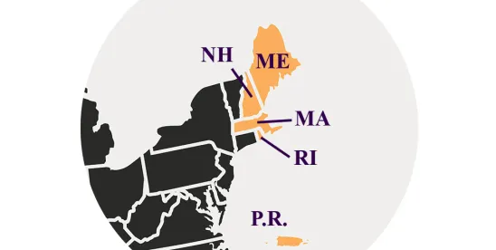 Privacy Class Action Claims In The First Circuit