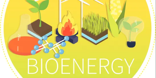 DOE Bioenergy Technologies Office Industrial Partnership Call