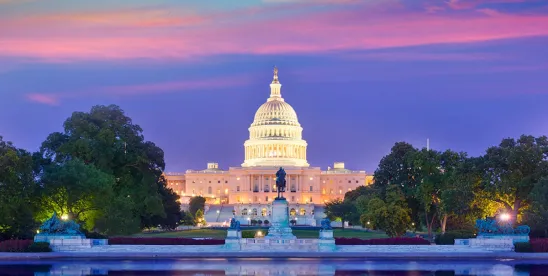 D.C. Appellate Court Reverses DoS Diversity Visa Cases