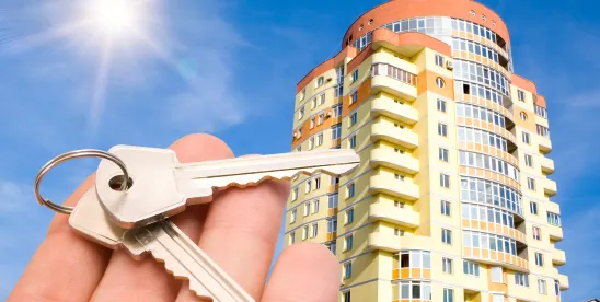 Office of Investment Security Real Estate Foreign Investment Rules
