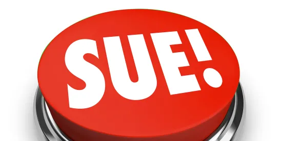 Suing co-owners in private companies