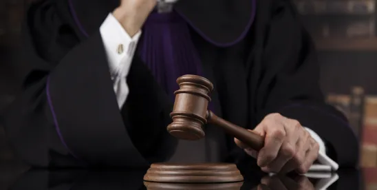 Federal Circuit rules on skinny labelling, induced infringement