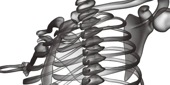 Recent Innovations in Spine Health