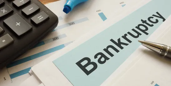 Bankruptcy report for week ending August 18