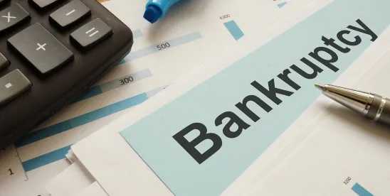 Chapter 7, 11 bankruptcy filings