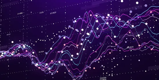 Data Protection Impact Assessments DIPAs Constitutional Validity