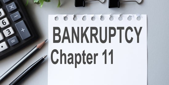 Bankruptcy Alert for States 