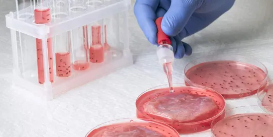 EU Lab Grown Meat
