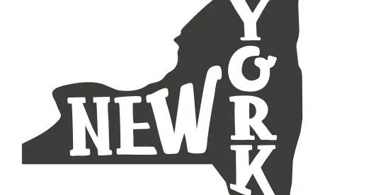 New York Adult Survivors Act Update