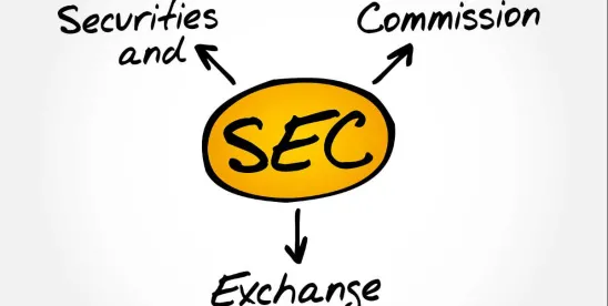 Schedule 13D Timeliness According to SEC Staff