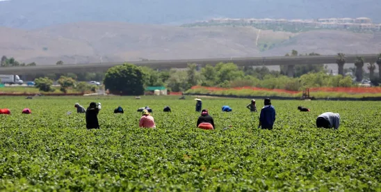 Seasonal worker hiring legal considerations