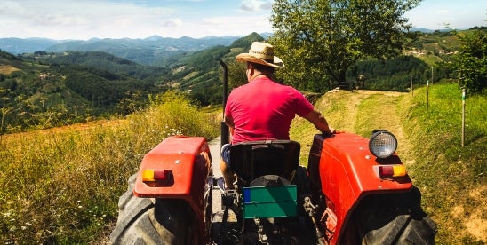 CA Agriculture Industry