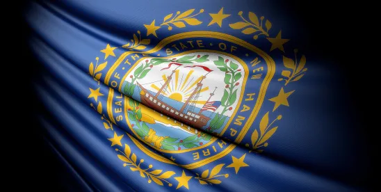 New Hampshire Announces New Data Privacy Unit 