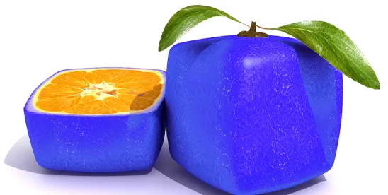 APHIS on regulatory status of genetically modified plants