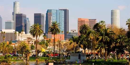 City of Los Angeles Alledgedle Violated the Federal False Claims Act