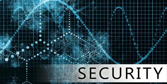 National Security regulation, enforcement in the U.S., U.K.