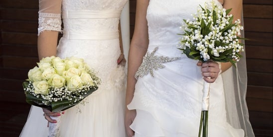 David’s Bridal Faces Class Actions Over Data Breaches