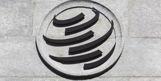 WTO E Commerce Negotiations Initial Agreement Reached