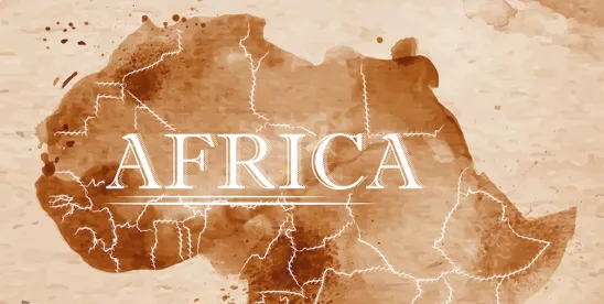 Elections and Immigration Updates from Africa