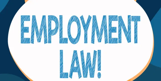 Employment Law 2024 midyear Roundup