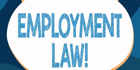 Employment Law 2024 midyear Roundup