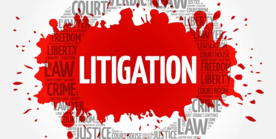 Italy Supreme Court Litigation Funding Expansion