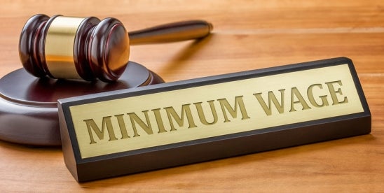 Michigan Supreme Court on state minimum wage laws