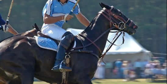 Global meeting of lawyers at a Lawyers Polo Tournament in Tuscany