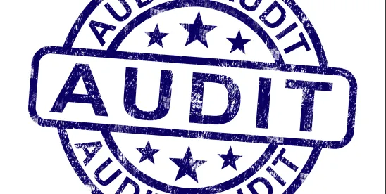 The Importance of Compliance Audits for Multinational Companies
