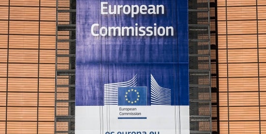 EC Adopts REACH Restriction