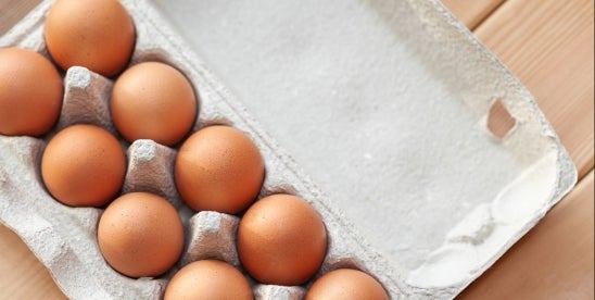 Health Canada comments on Plant-Based Egg Alternative Labeling